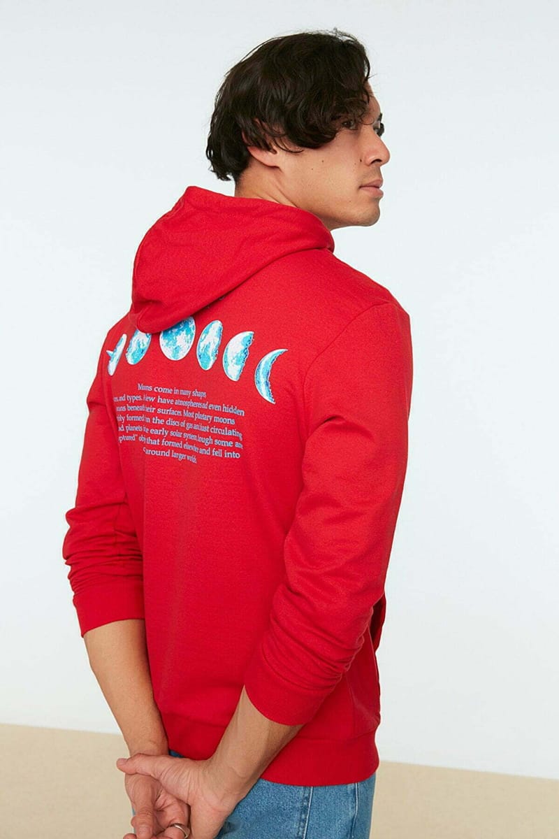 3_org_zoom Regular Fit Long Sleeve Printed Hoodie - Hoodies 56