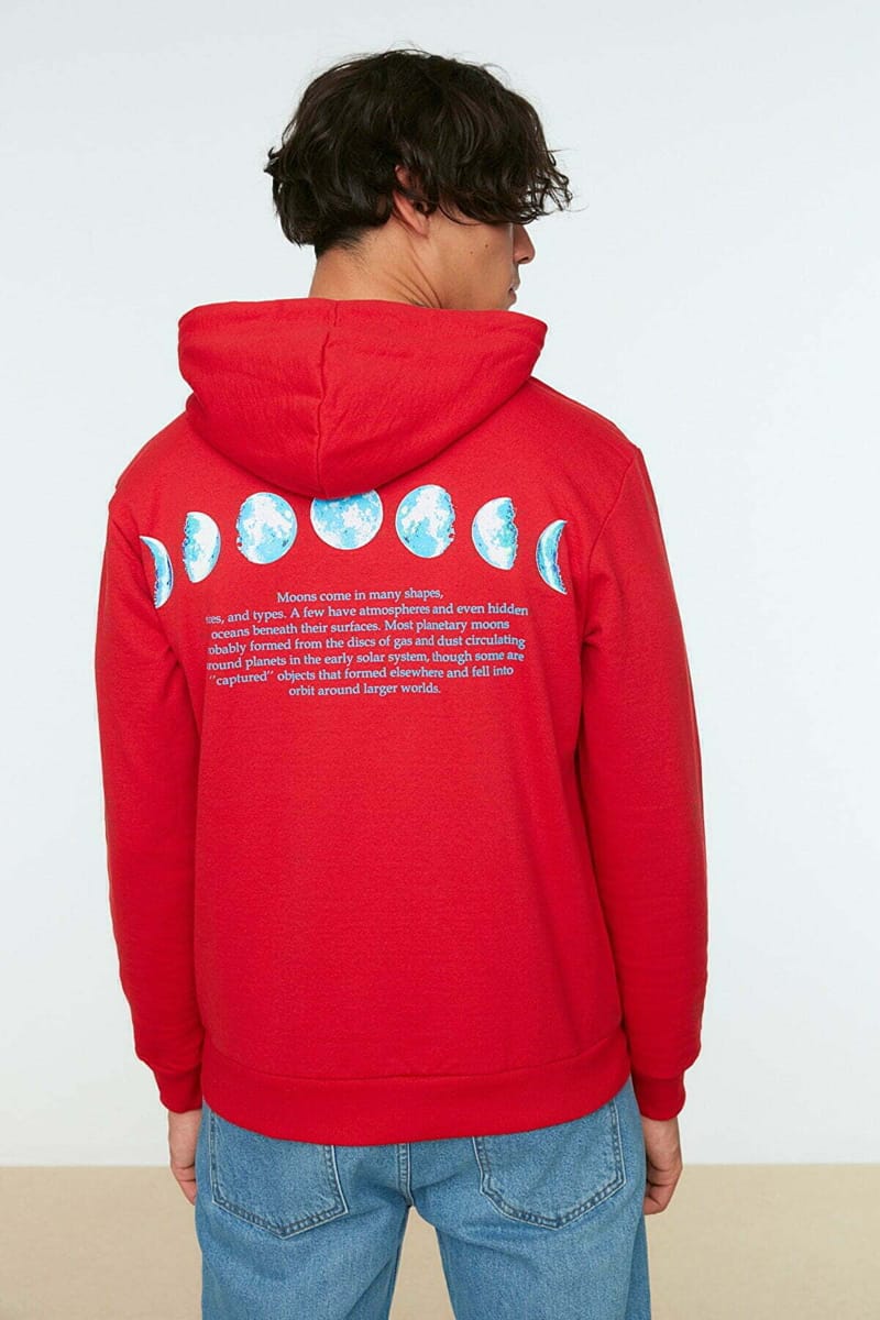 4_org_zoom Regular Fit Long Sleeve Printed Hoodie - Hoodies 54
