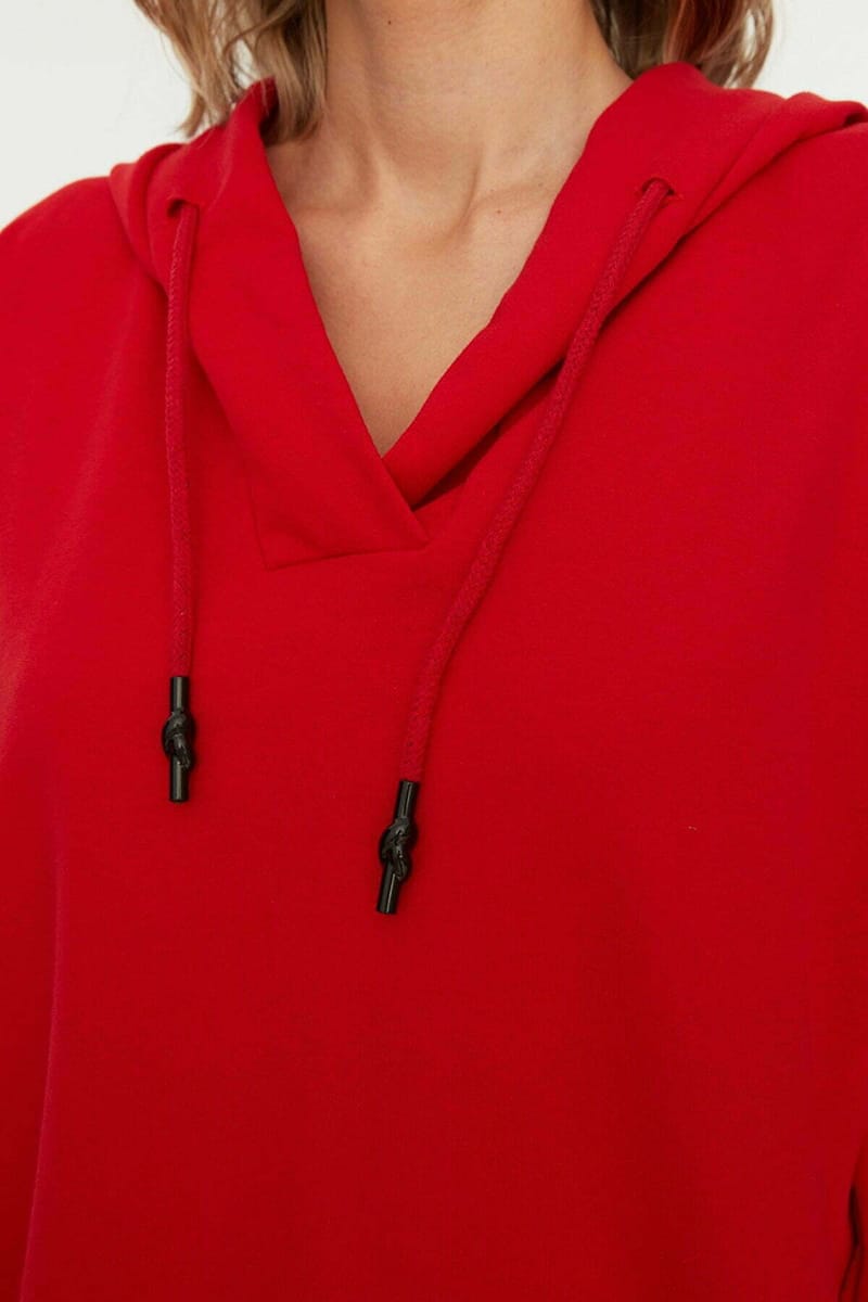 Classic Oversized Hoodie - Hoodies 33