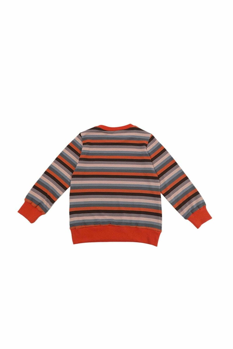 Kids Striped Crew Neck Sweater - Sweaters & Cardigans 79