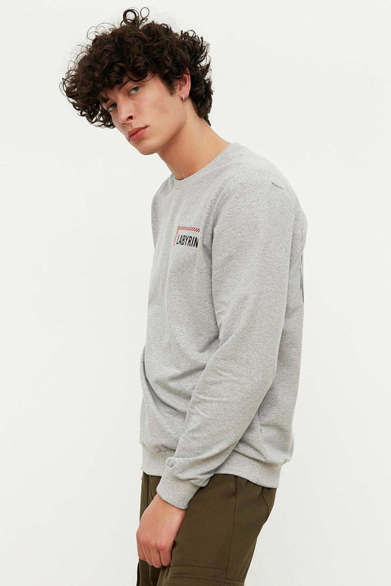 Regular Fit Long Sleeve Regular Crew Neck Printed Sweatshirt - Sweatshirts 22