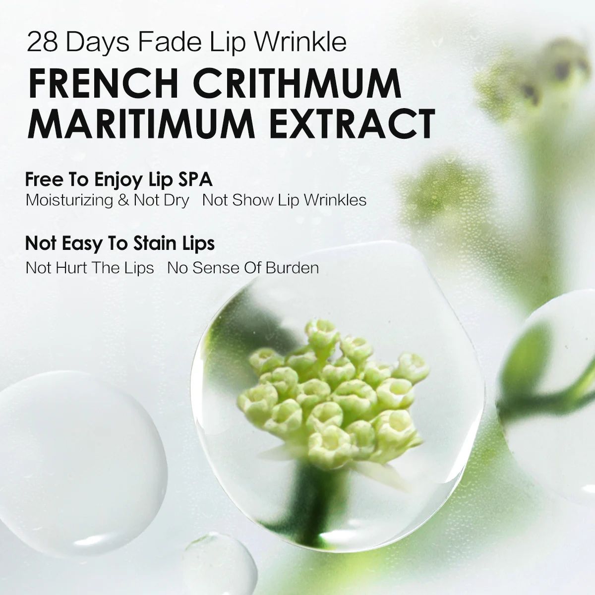 Carslan - Women's Lips 1