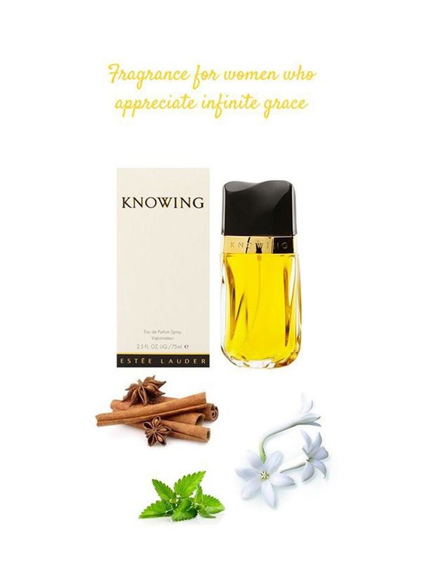 Estee Lauder - Women's Eau De Parfum 2