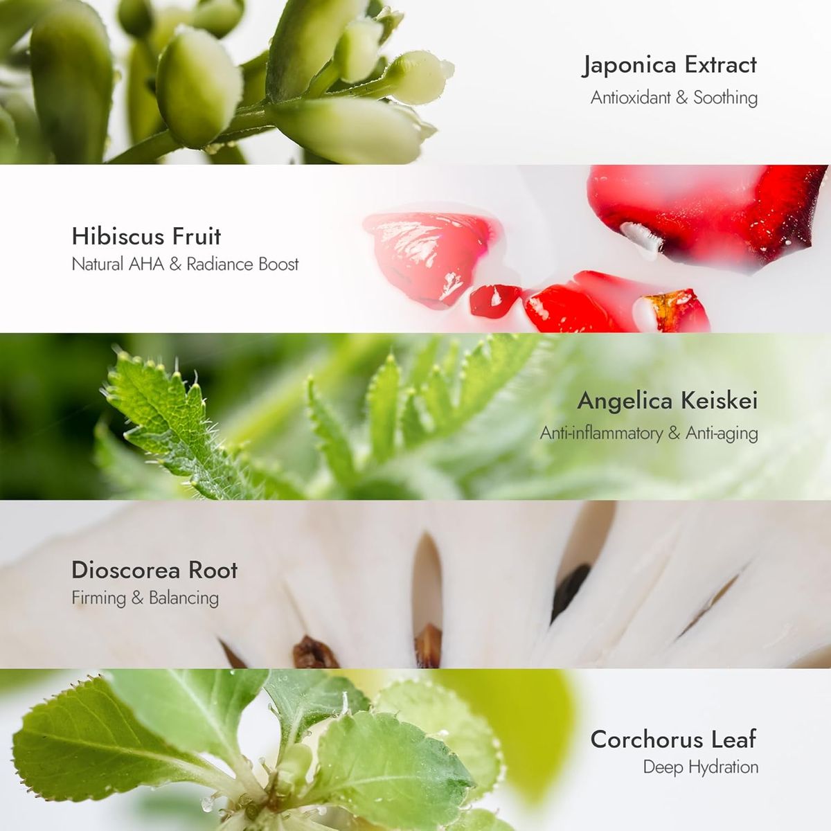 Your Wonder - Women's Oils & Serums 2