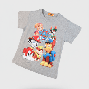 Stylish Paw Patrol Printed T-Shirt In Grey