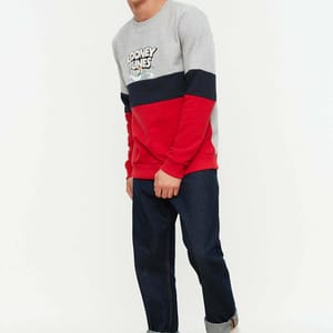 Looney Tunes Color Block Sweatshirt