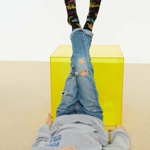 Kids 2 Pack Dino Print Crew Socks - Socks & Tights 2
