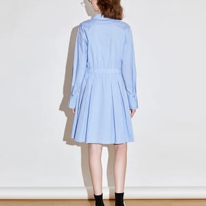 Elegant Pleated A-Line Dress with Turn-Down Collar and Stripes