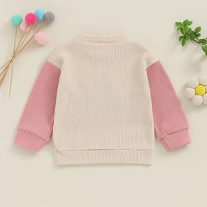 Waffle Knit Color Block Sweatshirt for Toddlers with Letter Embroidery Focusnorm - Kids's Tops 2