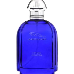 Evolution Edt for Men 100ml