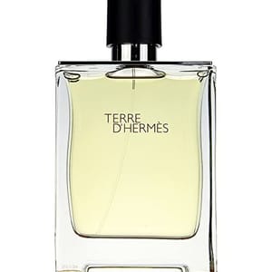 Terre D'Hermes Edt for Men 100ml