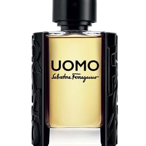 Uomo Edt for Men 100ml