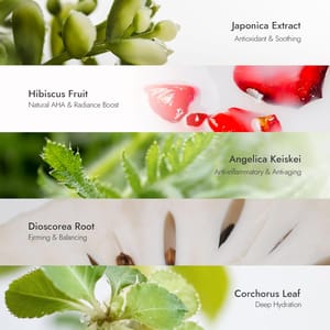 Your Wonder - Women's Oils & Serums 2