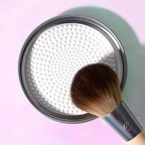 EcoTools Dissolving Brush Cleansing Sheets, 30 Sheet Count
