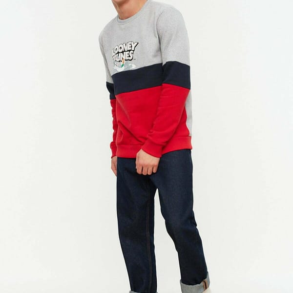 Looney Tunes Color Block Sweatshirt