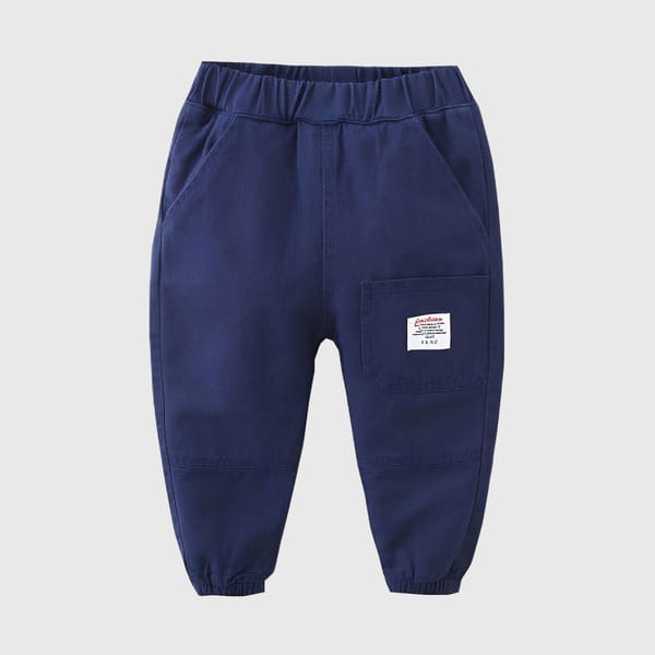Leo Chinos Styled Pants Navy Blue