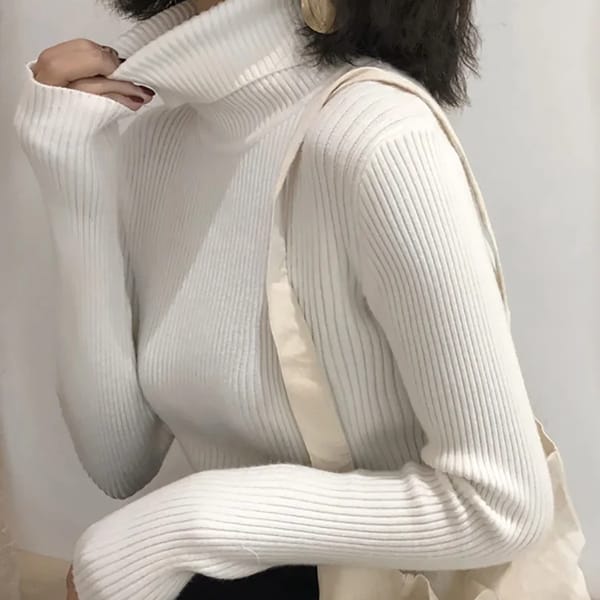Turtleneck Slim Pullover Sweater for Women