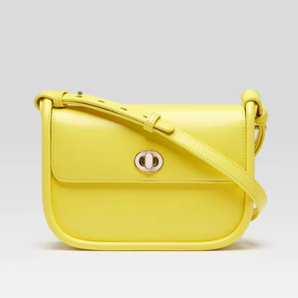 Elegant Leather Saddle Bag – Stylish Designer Crossbody Purse
