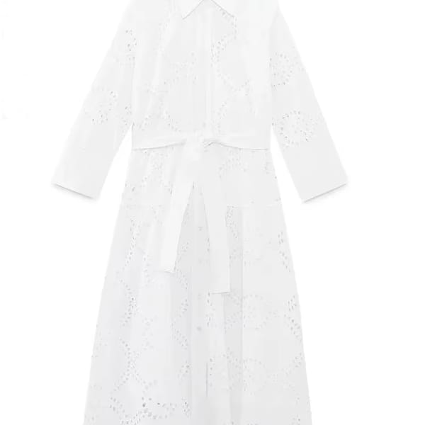 Women's Embroidered Shirt Dress Retro Lapel Long Sleeve Midi Chic Female Fashion with Belt